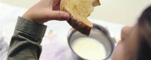 Nazaj k naravi, če ni prepozno