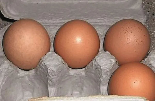 Fotografija je simbolična