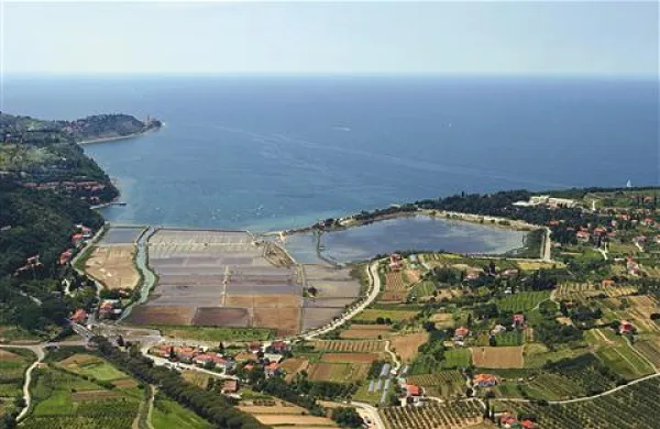 Kaže, da  bo Krajinski park Strunjan tudi prihodnja štiri leta deloval pod taktirko Marka Starmana 