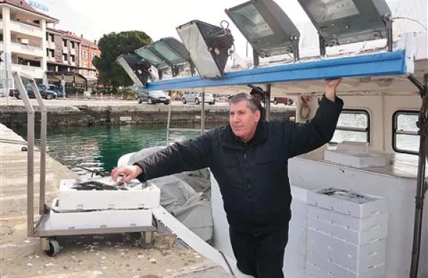 Za nedavno   ulovljene ciplje ribiči  zagotavljajo, da jih niso  prodali v Trst, kjer običajno konča  dve tretjini našega  ulova. Zabojček sardonov tam odkupijo  tudi za  70 evrov, pri nas pa za 7 do 11. 