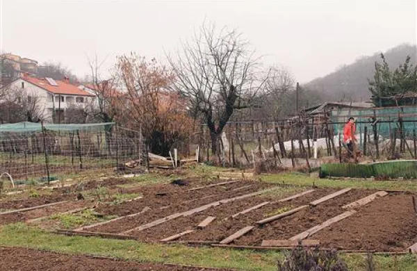 Pa saj je biila Nova Gorica  tako ali tako zamišljena kot mesto v zelenju ...