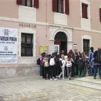 Med zvestimi obiskovalci piranskega Akvarija so šolarji, ki predstavljajo približno deset odstotkov obiska