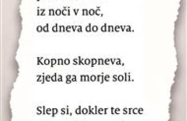 S poezijo iz slepe ulice