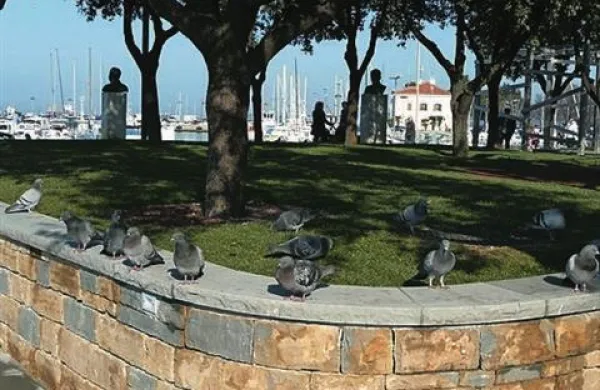 Koper je prejel nagrado za najbolj varno mesto v Sloveniji