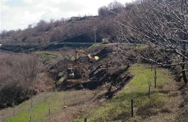 Bodo pod Kortami zrasli oljčniki, vinogradi ali  pomožni kmetijski objekti?  