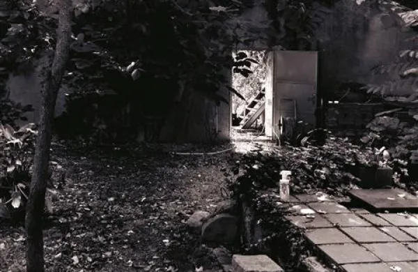 Iz cikla Spomini vrtov, črno-bela fotografija