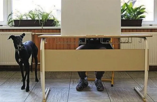 Polovico poslancev bi volili neposredno