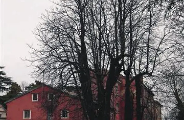 Za hotelom Triglav je velik park, ob njem pa še drevored 28. avgusta, kjer danes parkirajo vozila, za prihodnost pa tam arhitekt Matej Mljač predlaga formo vivo. Ocenjuje še, da bi bila ohranitev pročelja hotela z vsemi detajli ter notranjega kamnitega stopnišča primerna rešitev.