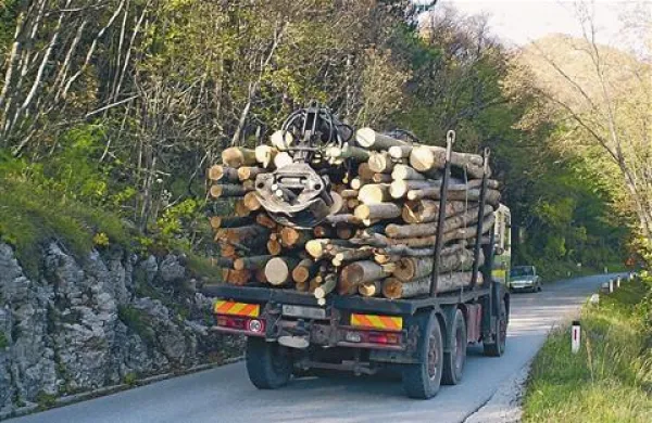 Domačini od lesa s Trnovsko-Banjške planote nimajo bolj ali manj nič, razen razritih cest, na kar že leta brez uspeha opozarjajo 