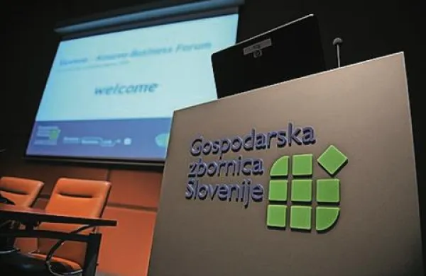 Objava seznama davčnih dolžnikov, ki se bo po napovedih zgodila 15. aprila, je po mnenju GZS izjemno radikalna poteza