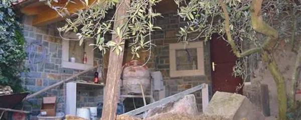 Lopa s pogledom na morje