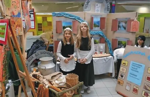 Breginjski šolarji (na fotografiji) so zlato priznanje prejeli za najboljšo nalogo, ajdovci pa so imeli najboljšo predstavitev