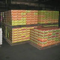 V luki na&scaron;li 10 ton neprijavljenega tobaka