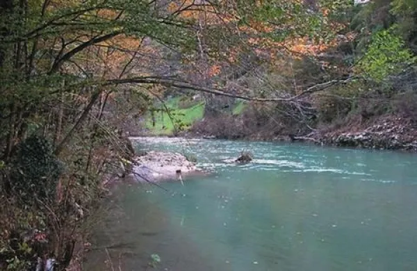 Fotografija je simbolična