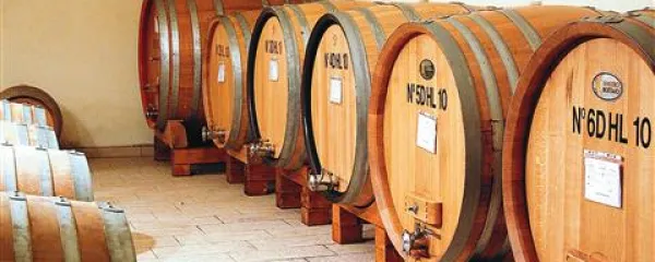 Prinčič iz svoje nove kleti na Jazbinah ponudi trgu letno 110.000 steklenic vina blagovne znamke Gradis'ciutta