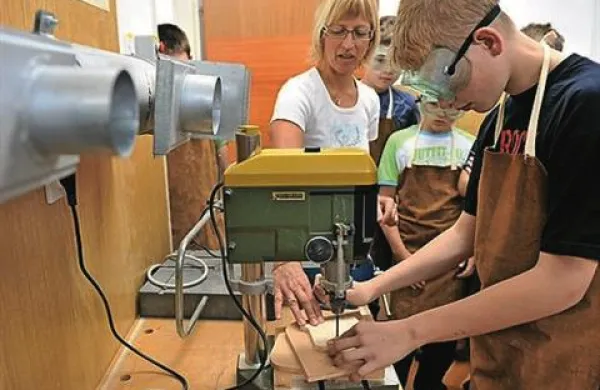 V srednje tehniško in strokovno izobraževanje je bilo vključenih 44 odstotkov, v nižje in srednje poklicne programe pa nekaj več kot 15 odstotkov dijakov