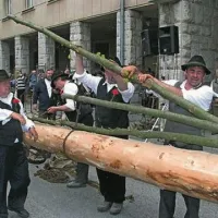 Furmani so letos v dolino pripeljali 30 metrov visok mlaj