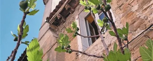 V prvih majskih dneh bo še naprej prevladovalo spremenljivo vreme