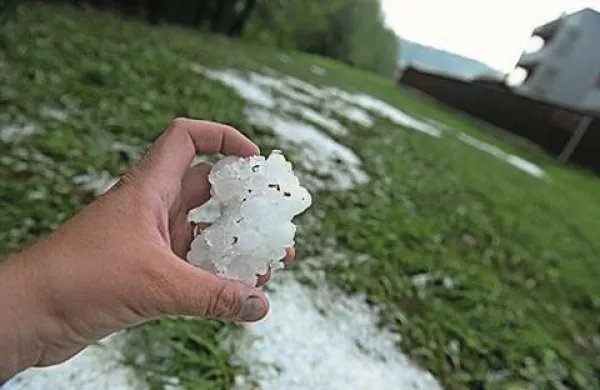Toča, ki je v soboto popoldne klestila po državi, je povzročila veliko škode na poljščinah in sadnem drevju, poškodovala pa je tudi precej avtomobilov