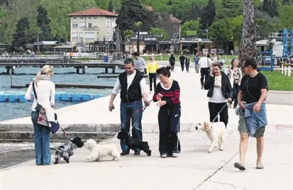 V Portorožu je zelo veliko enodnevnih obiskovalcev, a je zanje treba izboljšati ponudbo, za začetek že s parkiranjem, ki naj vzame čim manj časa, pravi direktor portoroškega turističnega združenja Jadran Furlanič