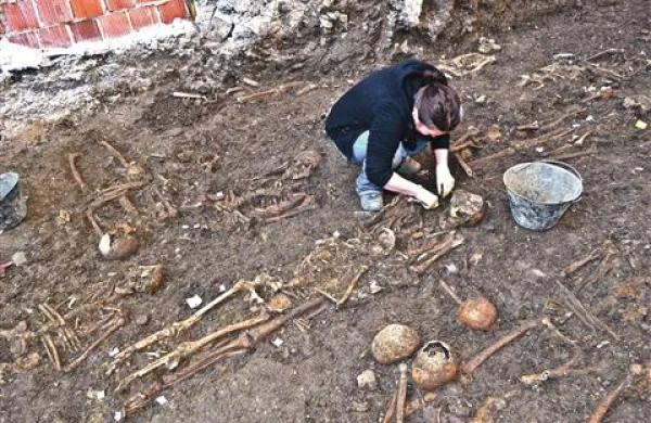 Arheologi so pri cerkvi sv. Frančiška našli več kot 60 skeletov in številne posamezne kosti