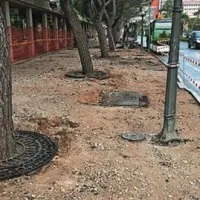 Na pločniku odstranjujejo grbine
