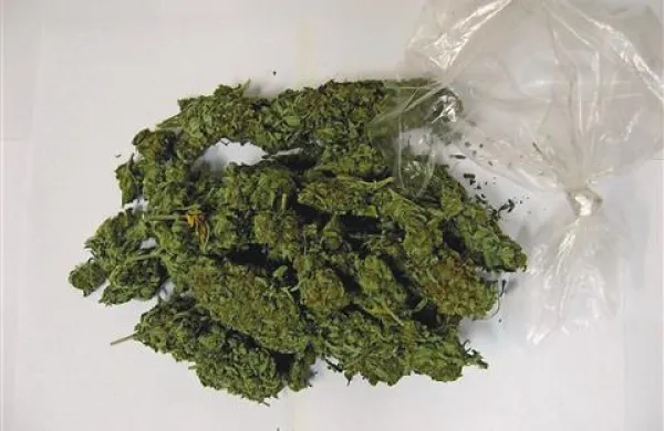 Policisti so med hišnimi preiskavami zasegli 200 gramov konoplje in 23 gramov heroina
