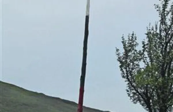 V Podgorju so letos postavili prav poseben mlaj