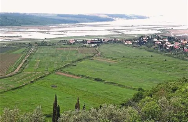 Kar 35 kmetov bi na teh zemljiščih v Sečoveljski dolini, kjer je načrtovano golf igrišče, najelo zemljo za kmetijsko obdelavo