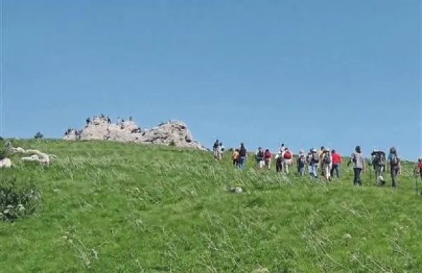 Volovja reber bo očitno ostala pticam in pohodnikom