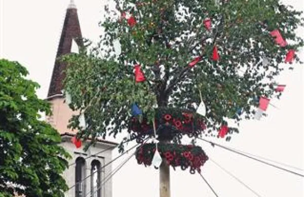 Najmogočnejša češnja “raste” na Majenci. A le še do jutri.