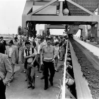 29. junija 1984 so v pristanišču odprli terminal za razsute tovore