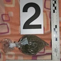 Razkrinkali roparsko združbo