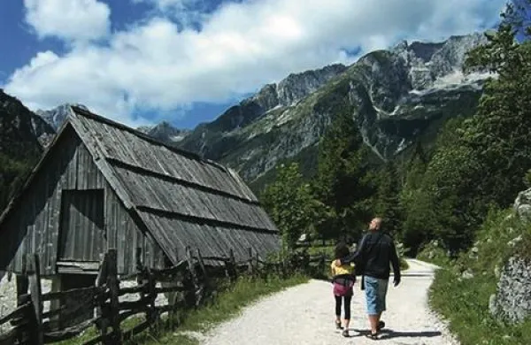 Pri izbiri zavarovanja naj si potrošnik vzame čas in preveri, kaj posamezno zavarovanje omogoča in česa ne, svetujejo na Zvezi potrošnikov Slovenije