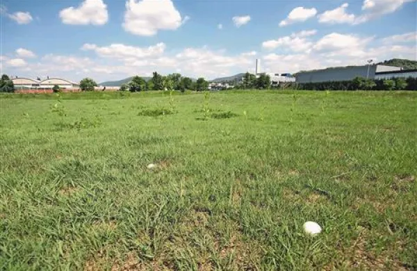 Namesto belih žogic je zapuščeno igrišče za golf polno na žogicam na las podobnih gobic