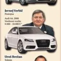 Primorski župani ljubijo audije