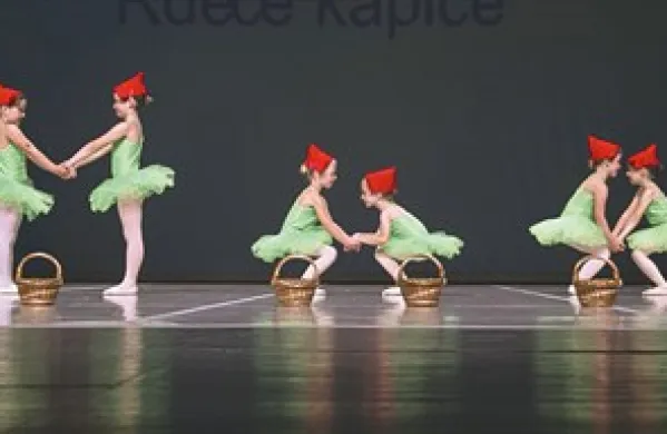 Društvo ljubiteljev baletne umetnosti Divača je na predizbor poslalo najmlajšo  skupino in ta je s koreografsko in režijsko zanimivo Rdečo kapico prestala prvo sito