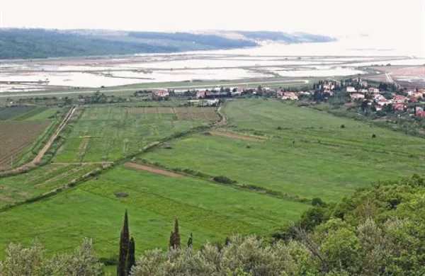Vplivi, ki bi jih imelo načrtovano igrišče za golf v Sečovljah na okolje, ne bi bili sprejemljivi, ocenjujejo na ministrstvu za kmetijstvo in okolje