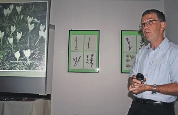 Poletni gorski travniki v galeriji Črni orel 