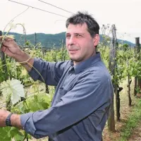 Vinar David Štok pravi, da bi bilo najbolje uvedbo novega sistema odložiti za eno leto, saj je zdaj preveč nejasnosti