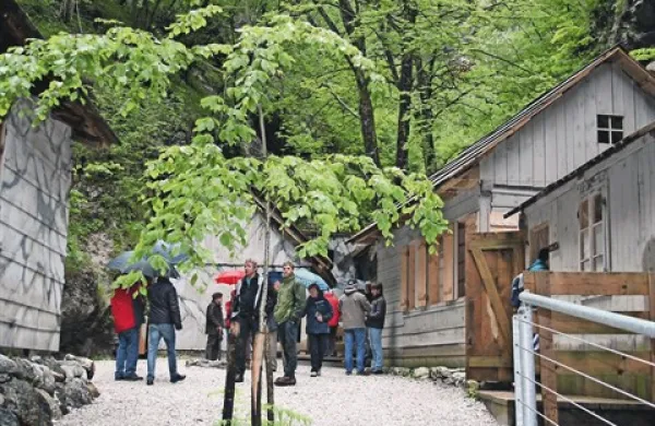 Dež zlasti mlajšega dela zbranih na slavju ni odvrnil od ogleda Franje
