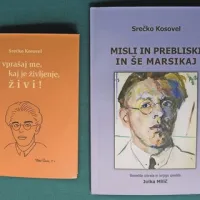 Knjižici je avtorica pripravila zlasti za obogatitev ponudbe Kosovelove domačije
