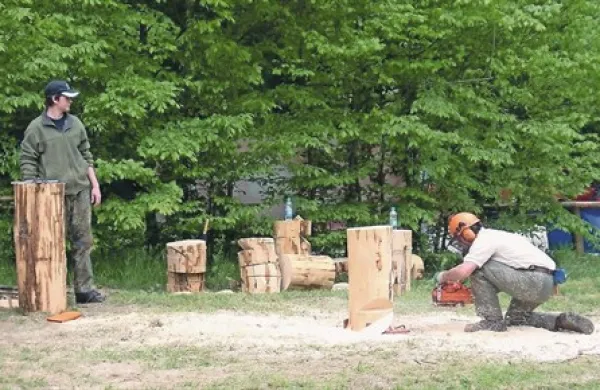 Mladi postojnski gozdarji in lesarji, ki so pred dnevi na svojem področju drugič zapored postali evropski prvaki, se bodo po spremembi uredbe lahko končno urili v lastnem gozdu