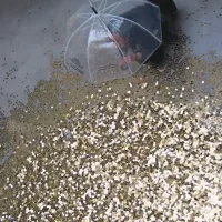 V ruskem  paviljonu dežuje zlati dež, a samo na ženski spol. Drugi  klečijo zgoraj in opazujejo.  