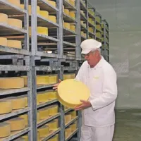 Nanoški sir, paradni izdelek, naj bi ohranil tudi nov lastnik, zagotavljajo v Agroindu