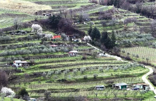 Fotografija je simbolična