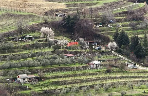 Izolske terase so “posute” z  manjšimi objekti, med katerimi so lope za spravila orodja v manjšini (fotografija je simbolična)  