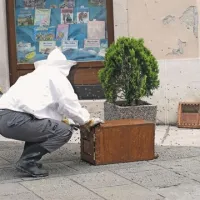 ... je strokovno poskrbel čebelar 