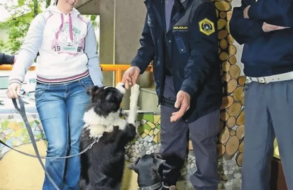 Dan varnosti na SGL&Scaron;
