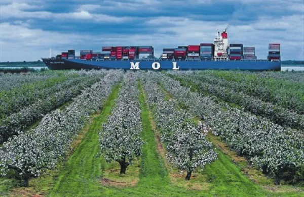 Heiko Roem, Nemčija: Through flowering appletrees/ Skozi cvetoče jablane  